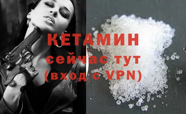 крисы Осташков