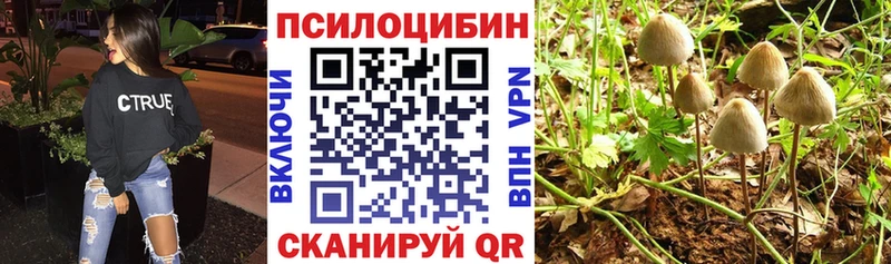 где найти наркотики  Краснодар  мега рабочий сайт  Галлюциногенные грибы GOLDEN TEACHER 
