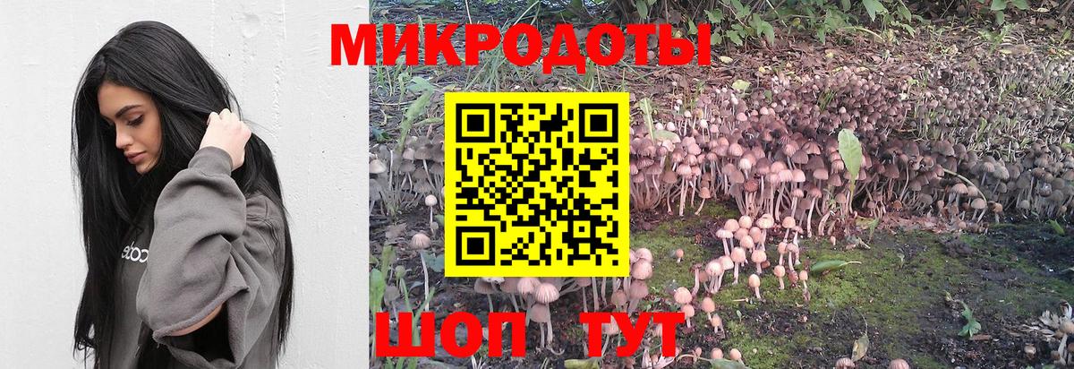 Псилоцибиновые грибы Magic Shrooms Краснодар