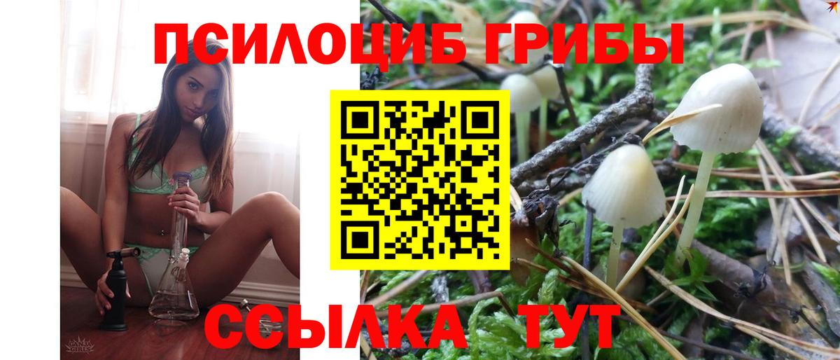 Галлюциногенные грибы Psilocybe  Галлюциногенные грибы MAGIC MUSHROOMS  Краснодар  где купить наркоту  Вход с VPN 