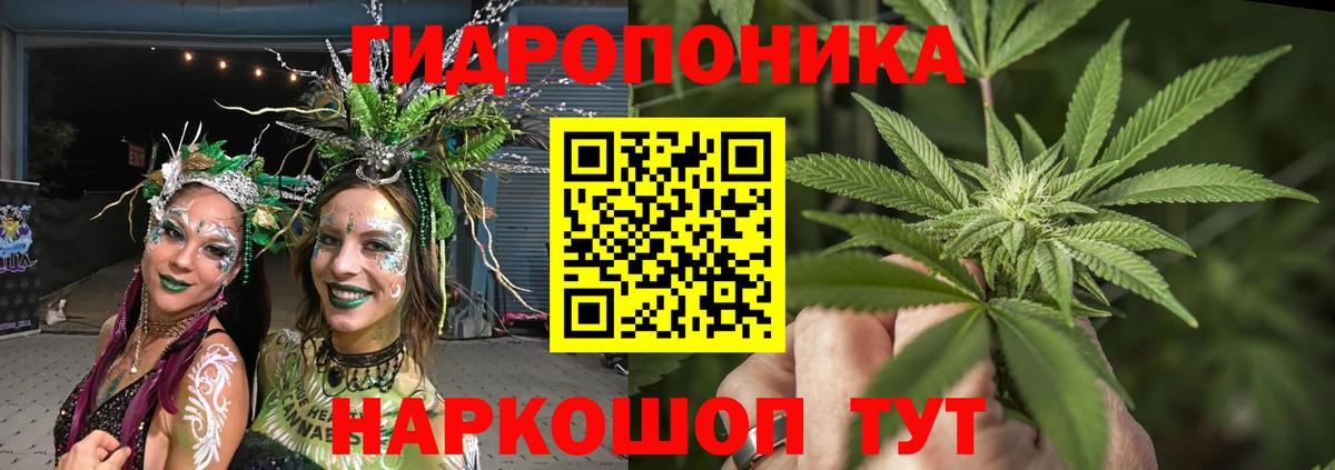 Шишки марихуана THC 21% Краснодар
